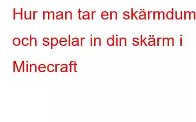 Hur man tar en skärmdump och spelar in din skärm i Minecraft