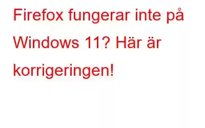 Firefox fungerar inte på Windows 11? Här är korrigeringen!