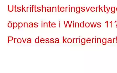 Utskriftshanteringsverktyget öppnas inte i Windows 11? Prova dessa korrigeringar!