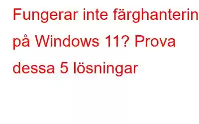 Fungerar inte färghantering på Windows 11? Prova dessa 5 lösningar