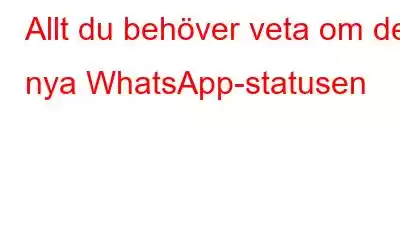 Allt du behöver veta om den nya WhatsApp-statusen