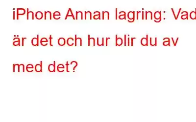 iPhone Annan lagring: Vad är det och hur blir du av med det?