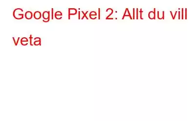 Google Pixel 2: Allt du vill veta