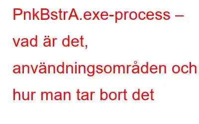 PnkBstrA.exe-process – vad är det, användningsområden och hur man tar bort det