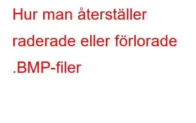 Hur man återställer raderade eller förlorade .BMP-filer