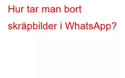 Hur tar man bort skräpbilder i WhatsApp?