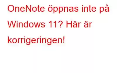 OneNote öppnas inte på Windows 11? Här är korrigeringen!