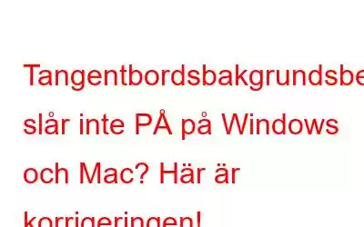 Tangentbordsbakgrundsbelysning slår inte PÅ på Windows och Mac? Här är korrigeringen!