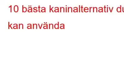 10 bästa kaninalternativ du kan använda