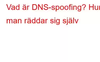 Vad är DNS-spoofing? Hur man räddar sig själv