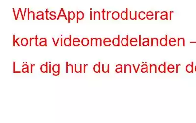 WhatsApp introducerar korta videomeddelanden – Lär dig hur du använder det