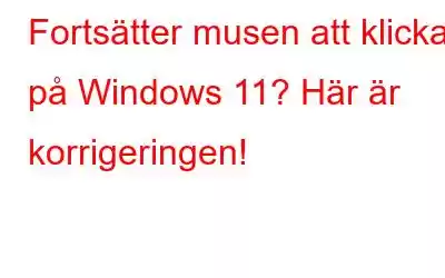 Fortsätter musen att klicka på Windows 11? Här är korrigeringen!