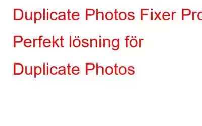 Duplicate Photos Fixer Pro: Perfekt lösning för Duplicate Photos