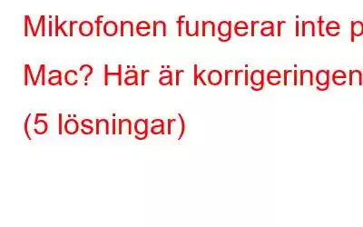 Mikrofonen fungerar inte på Mac? Här är korrigeringen (5 lösningar)