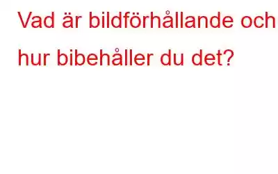 Vad är bildförhållande och hur bibehåller du det?