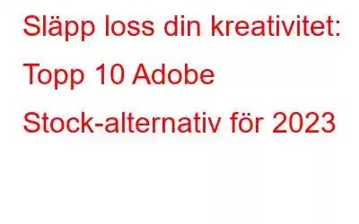 Släpp loss din kreativitet: Topp 10 Adobe Stock-alternativ för 2023