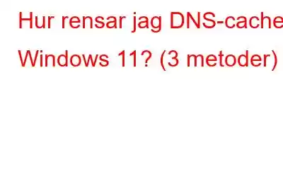 Hur rensar jag DNS-cache i Windows 11? (3 metoder)