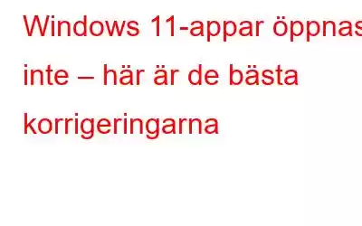 Windows 11-appar öppnas inte – här är de bästa korrigeringarna